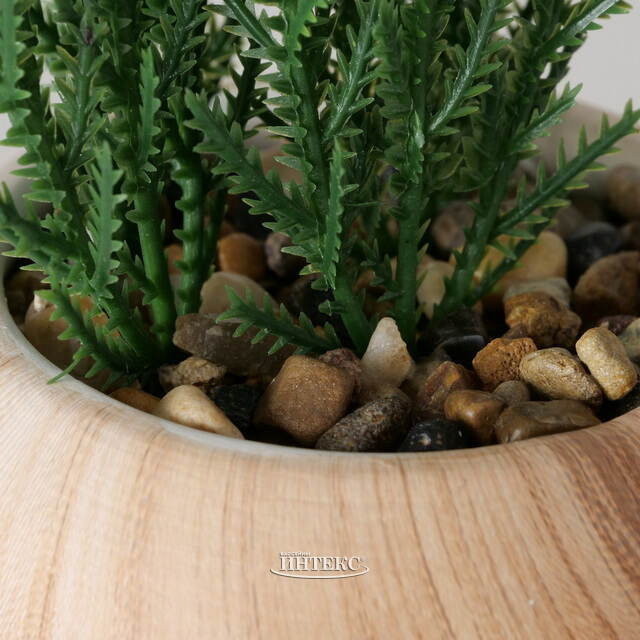 Искусственное растение в горшке Juniper-Vernon 18 см Boltze