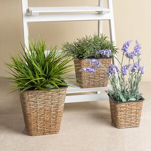 Набор декоративных кашпо Willow Twigs 13-20 см, 3 шт Koopman фото 1