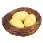 Пасхальное украшение Гнездо Yellow Egg 7 см